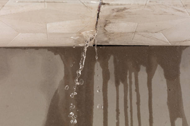 Professional Structural Drying technician working in Justin, TX